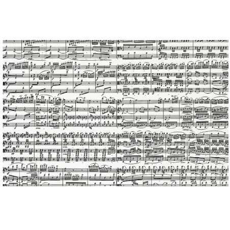 Puzzle: Notes de Musique (x1000)