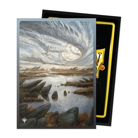 Pochettes-Dragon-Shield-Marsh-Flats-Art