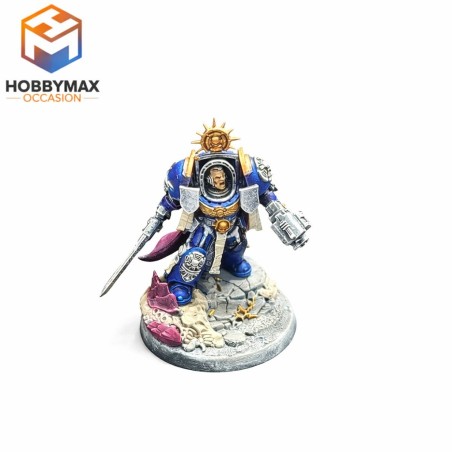 occasion-capitaine-terminator-1