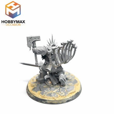 occasion-gardus-steelsoul