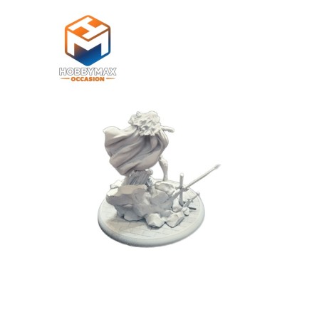 occasion-wonder-woman-dcu