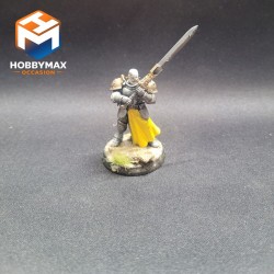 occasion-personnage-stormcast-convertie