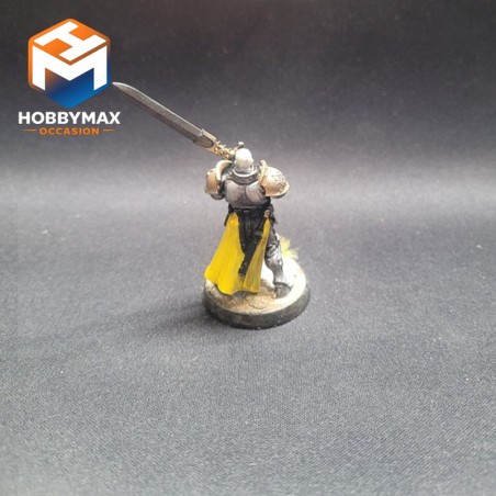 occasion-personnage-stormcast-convertie