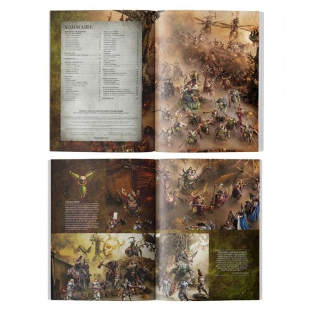 Maggotkin-of-Nurgle-Tome-de-Bataille