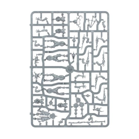 Maggotkin-of-Nurgle-Regiment-de-Renom-les-Pustules-x12-Figurines