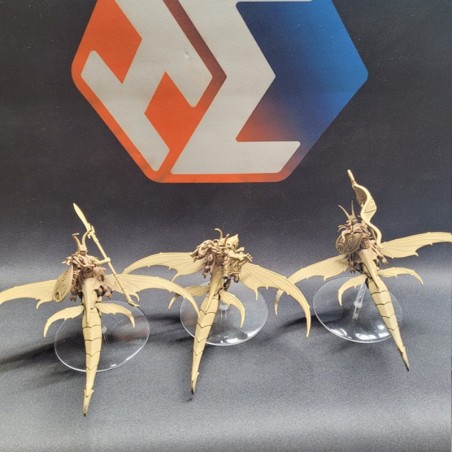 occasion-3x-spite-rider-lancer