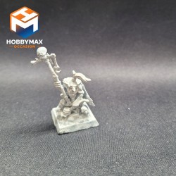 occasion-chaman-gobelin