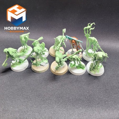 occasion-chainrasp-x10