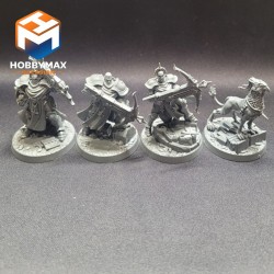 occasion-4x-castigator-