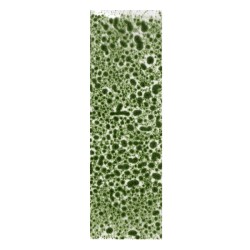 ak-realistic-green-moss