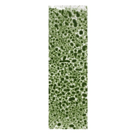 ak-realistic-green-moss