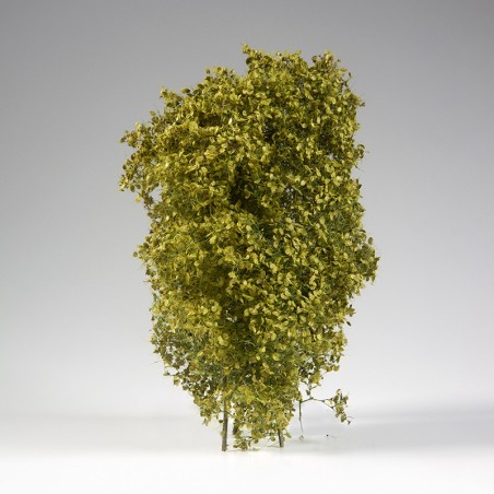 ak-spring-feligree-brushes