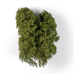 ak-spring-feligree-brushes