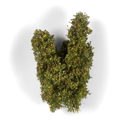 ak-spring-feligree-brushes