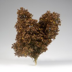 ak-spring-feligree-brushes