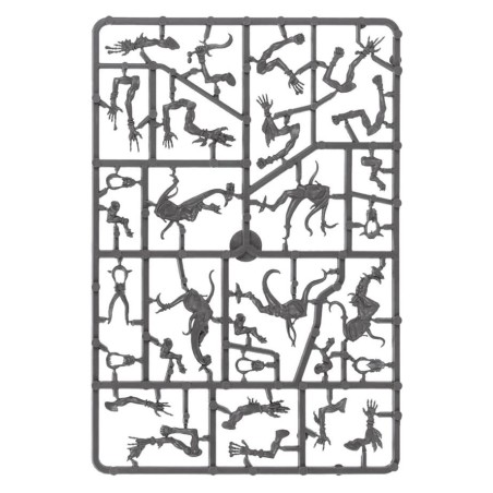 Disciples-of-Tzeentch-Battleforce-Cavalcade-de-Feu-Maudit-x40-Figurines