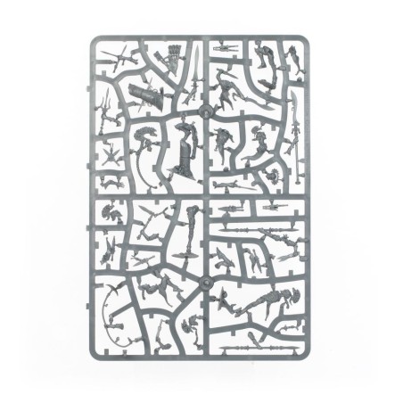 Lumineth-Realm-Lords-Battleforce-Ost-d-Iliathe-x37-Figurines